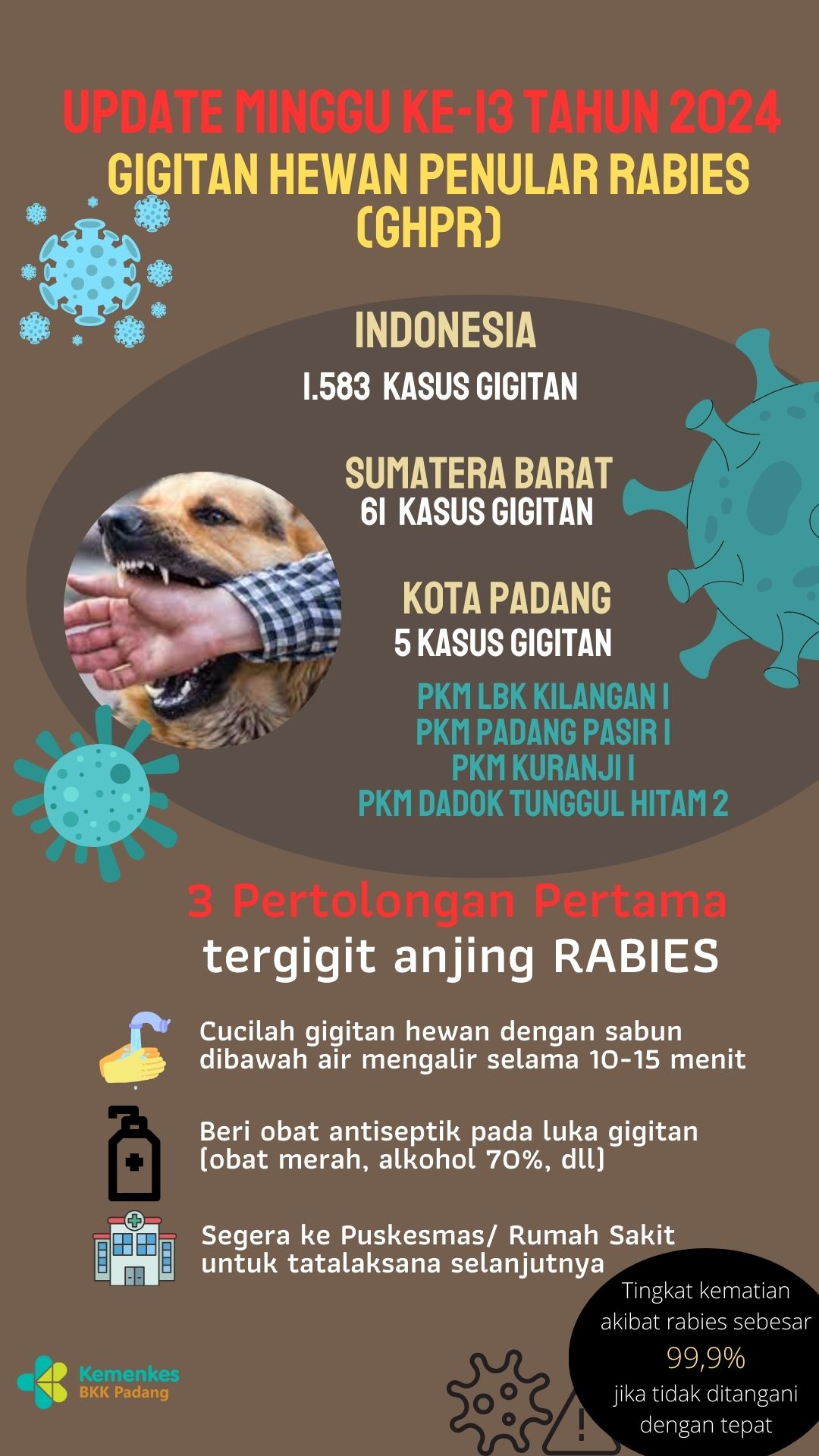 Update Gigitan Hewan Penular Rabies  Minggu 13 Tahun 2024