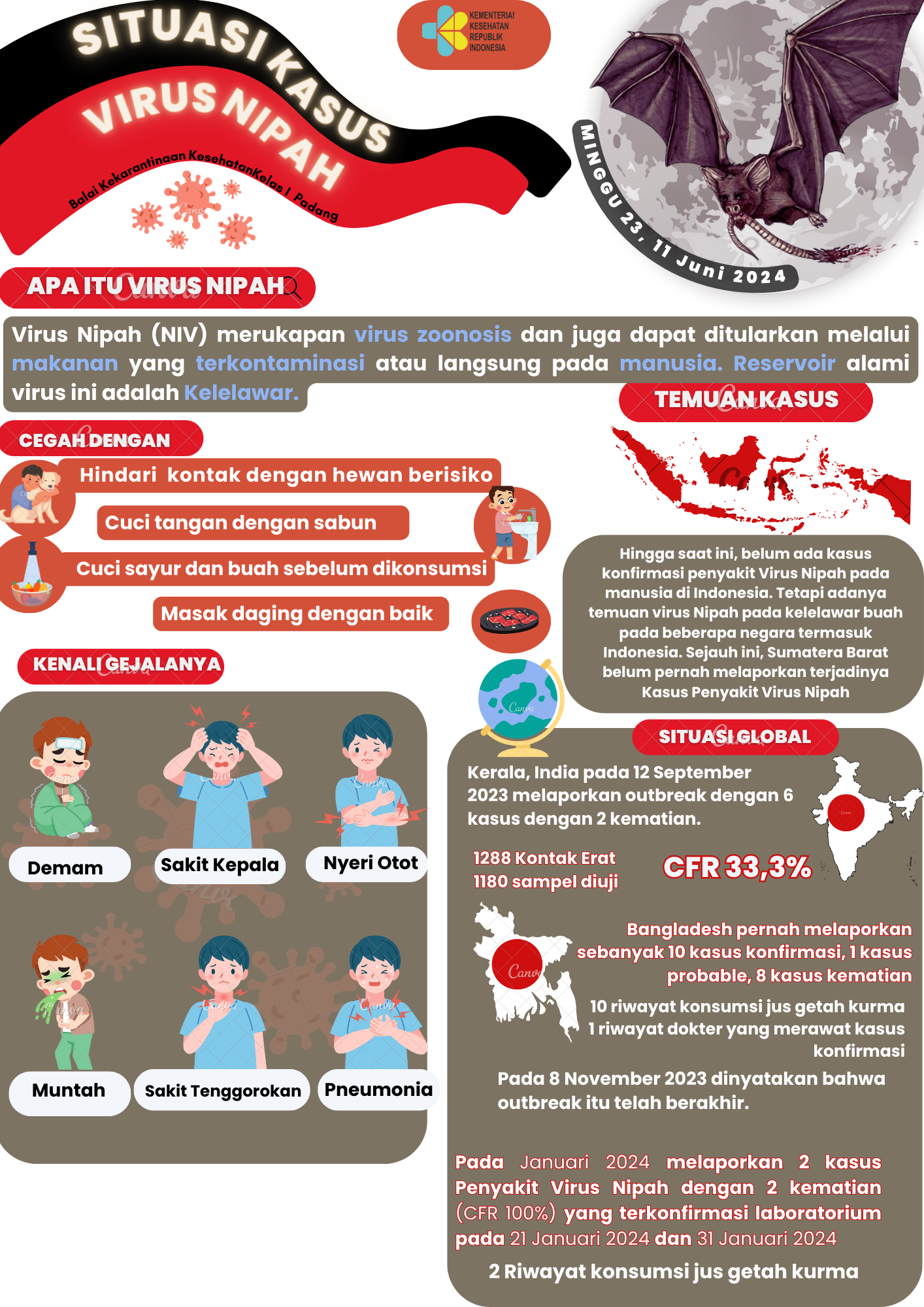 Update Situasi Kasus Virus Nipah Minggu Ke-23 Tahun 2024