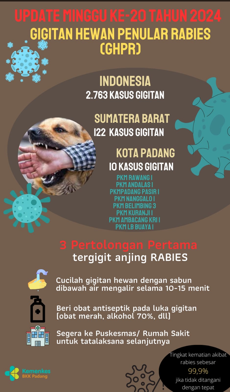 Update Gigitan Hewan Penular Rabies  Minggu 20 Tahun 2024