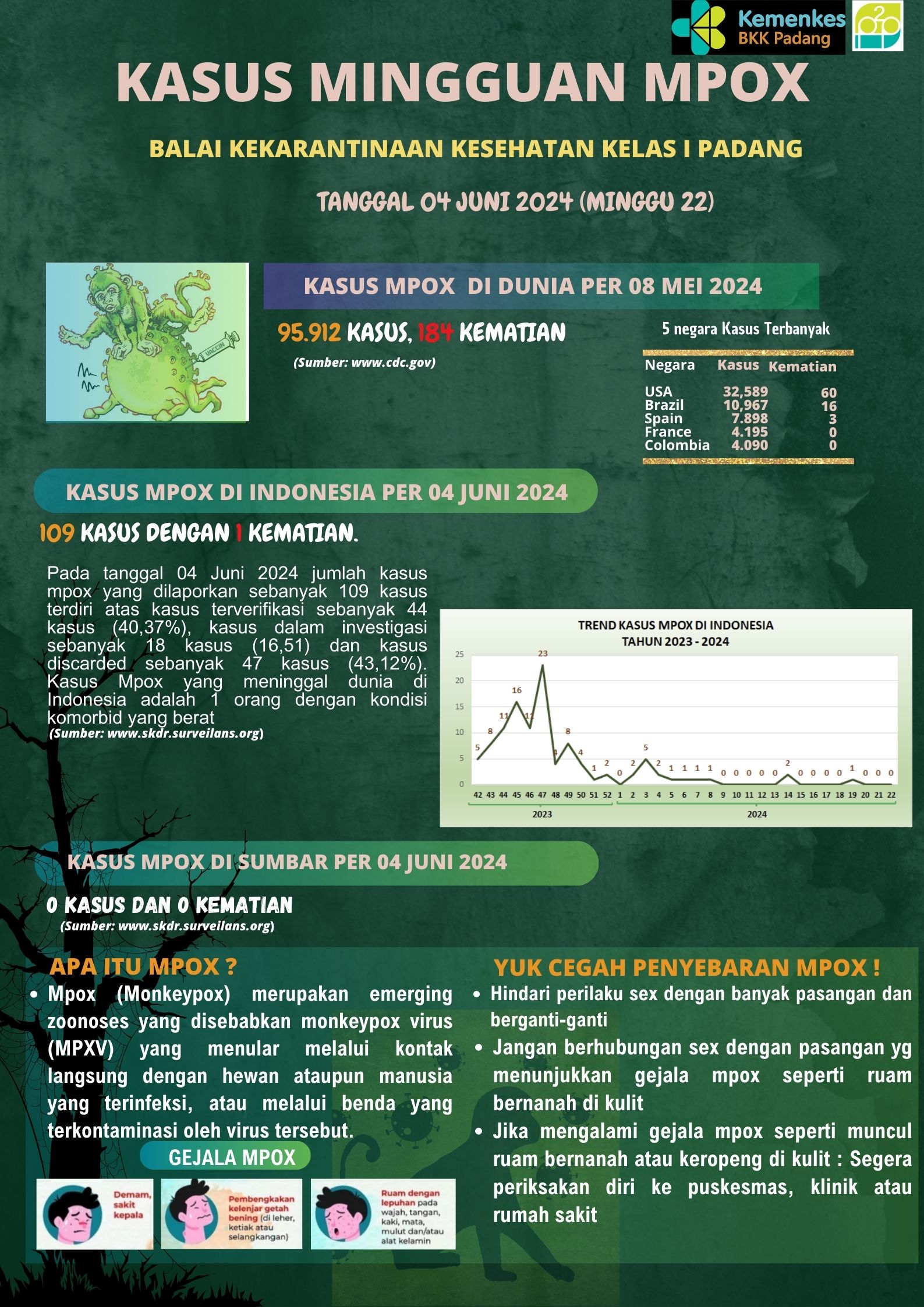 Update Penyakit Mpox Minggu 22 Tahun 2024