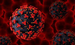 Kondisi Kasus COVID-19 Minggu Epidemiologi Ke-43 Tahun 2023