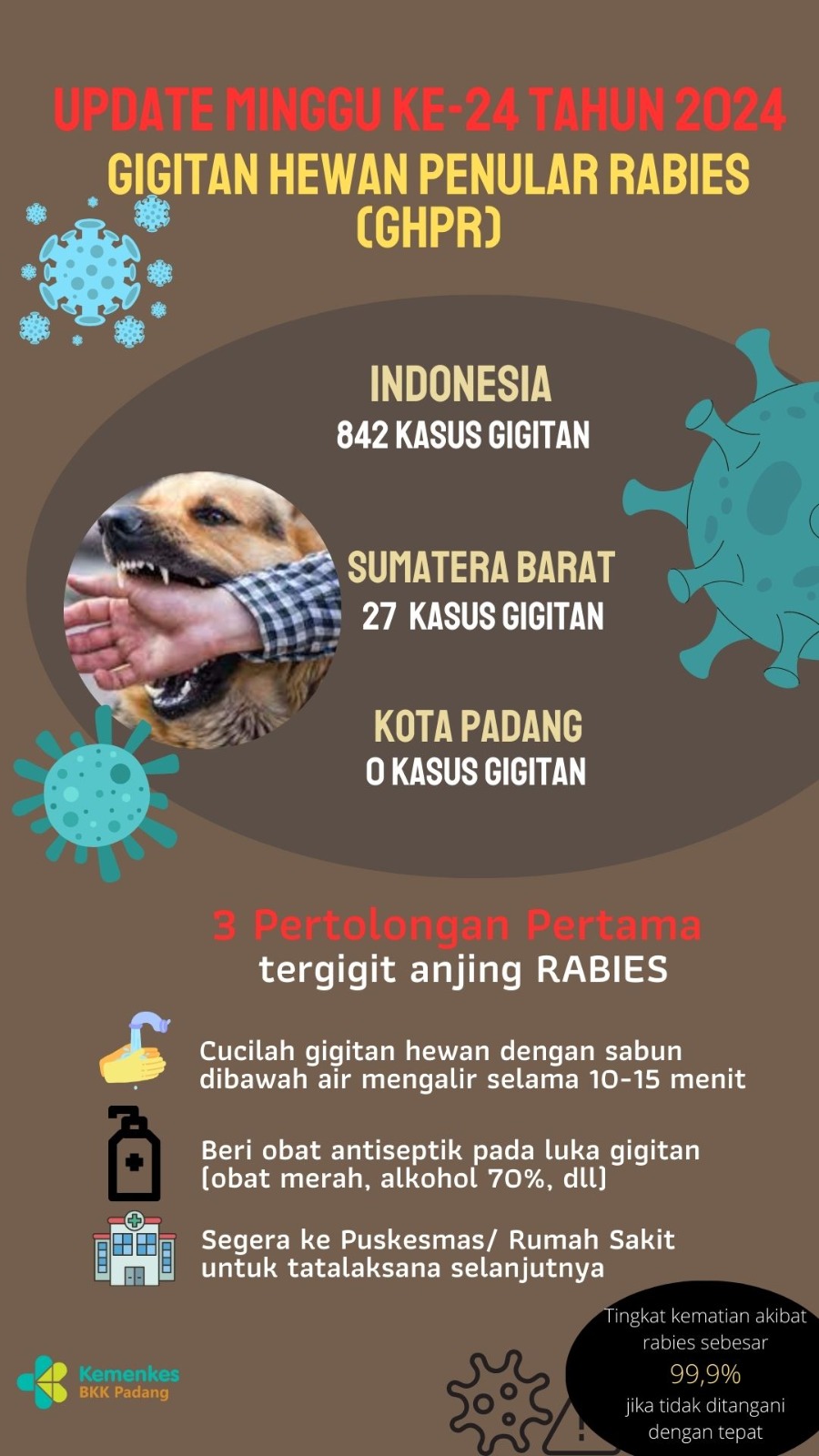 Update Gigitan Hewan Penular Rabies  Minggu 24 Tahun 2024