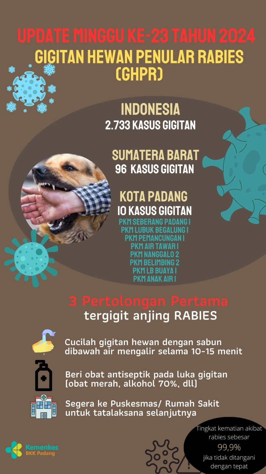 Update Gigitan Hewan Penular Rabies Minggu 23 Tahun 2024